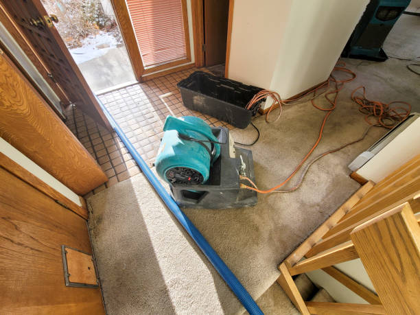 24/7 water damage repair in New Deal, TX