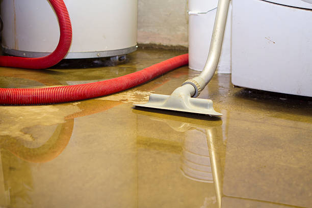 Best Water damage cleanup near me  in New Deal, TX