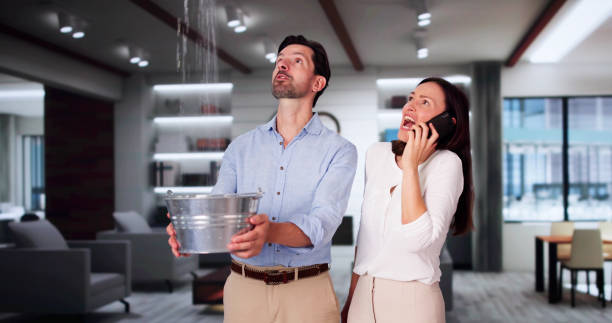 Best Water damage contractors near me  in New Deal, TX